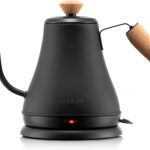 Bodum 27oz Bistro Gooseneck Electric Water Kettle